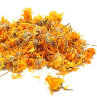 Calendula