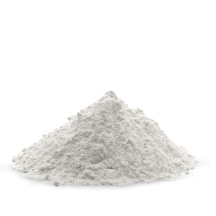 Leite de coco em Pó