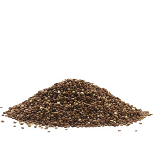 Quinoa Vermelha Grão