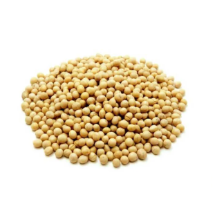 Soja em Grão