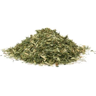 alfafa