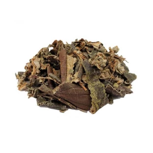 Canela de Velho