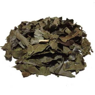 Chá Verde Nacional