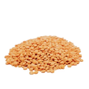 Lentilha Vermelha