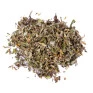 artemisia